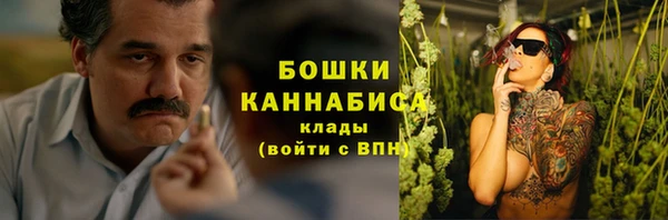 гашик Дмитровск