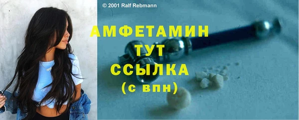гашик Дмитровск