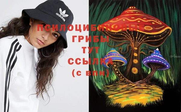 не бодяженный Дмитров