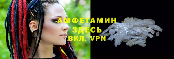 гашик Дмитровск