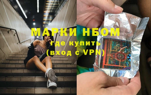 гашик Дмитровск