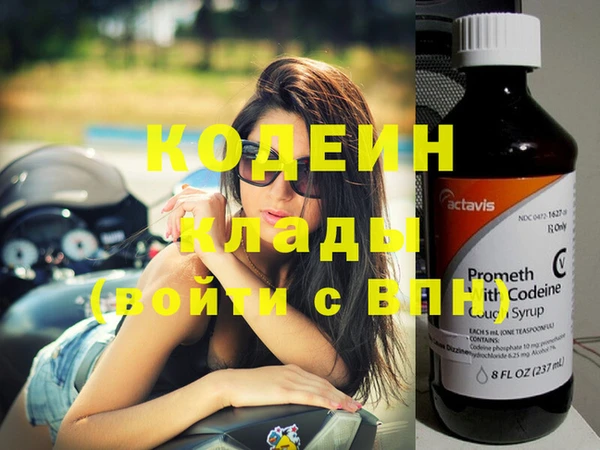 гашик Дмитровск