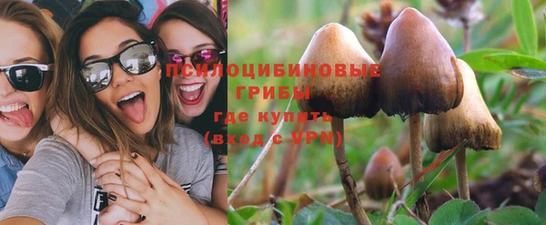 круглые Дмитриев