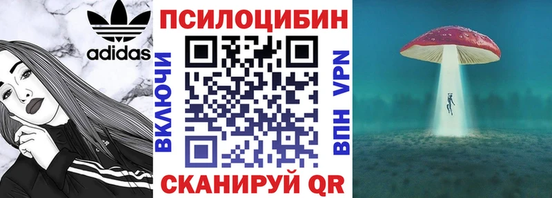 Купить где  Североуральск  Псилоцибиновые грибы MAGIC MUSHROOMS 