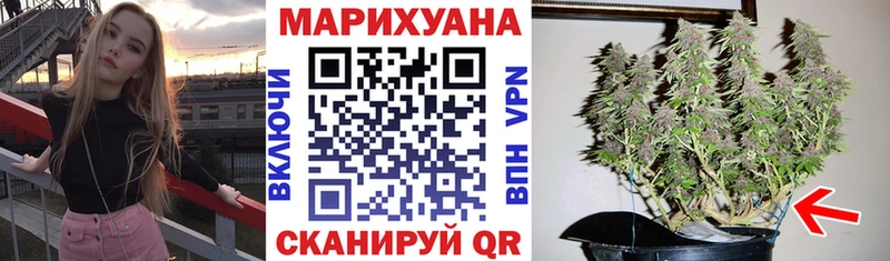 Купить закладки  Североуральск  Бошки марихуана SATIVA & INDICA 